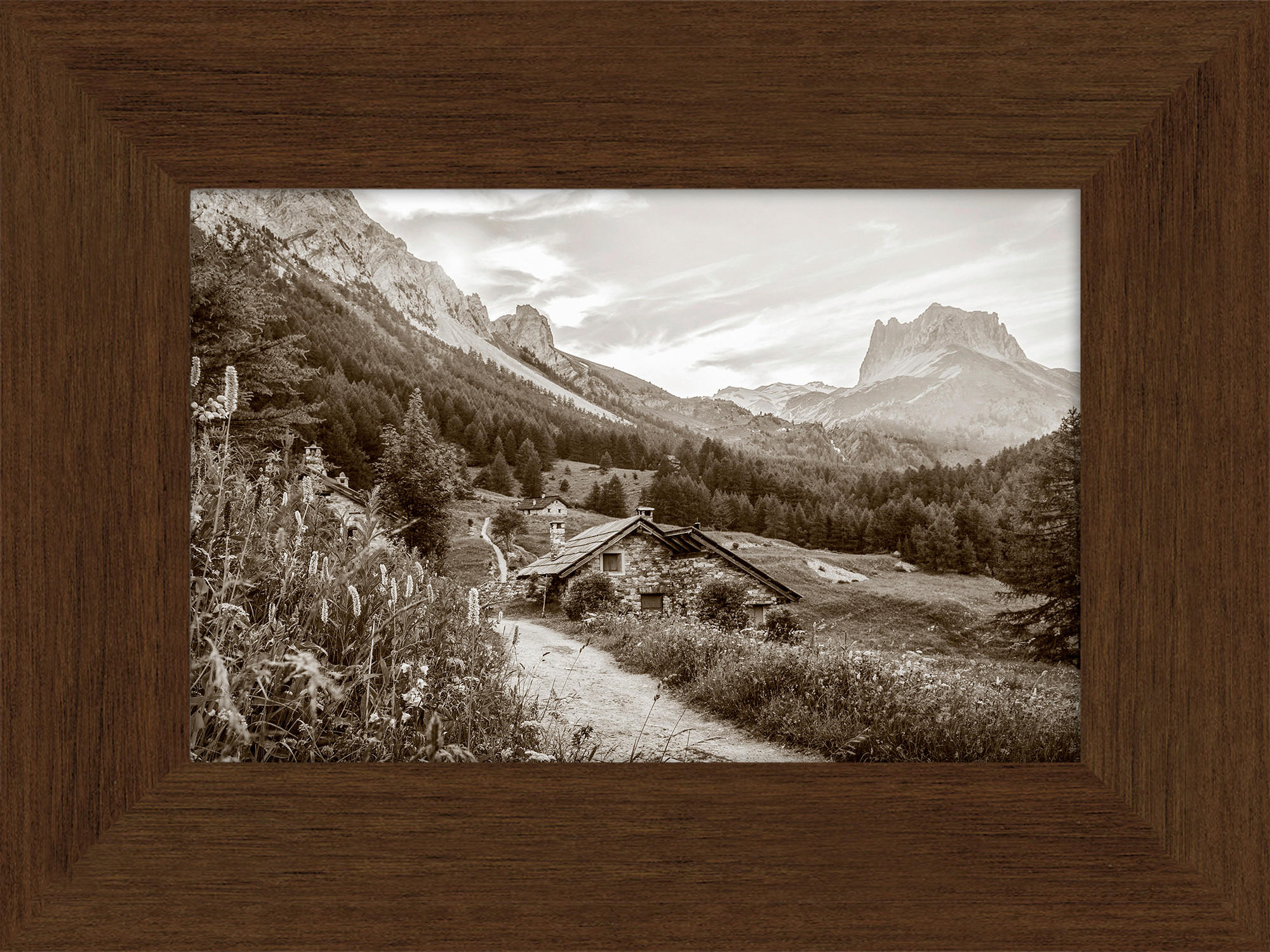 KUNSTDRUCK 30/40 cm  - Multicolor/Braun, Natur, Holzwerkstoff (30/40cm) - Monee