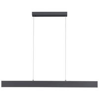LED-HÄNGELEUCHTE 121/6/120 cm  - Anthrazit, Design, Kunststoff/Metall (121/6/120cm)