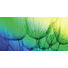 GLASBILD - Multicolor, Natur, Glas (20/40/1,40cm) GLASBILD - Multicolor, Natur, Glas (20/40/1,40cm)