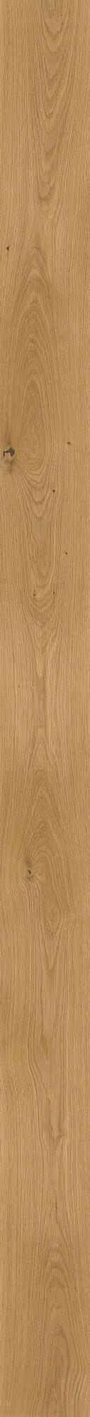 LANDHAUSDIELE, Eiche schlicht  per  m² - Eichefarben, KONVENTIONELL, Holz (220,5/14,2/1,2cm) - Waldwelt