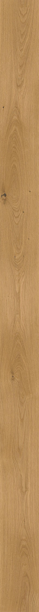 LANDHAUSDIELE, Eiche schlicht  per  m² - Eichefarben, KONVENTIONELL, Holz (220,5/14,2/1,2cm) - Waldwelt