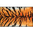 FUßMATTE 75/120 cm Tiger Orange, Schwarz - Schwarz/Orange, Kunststoff/Textil (75/120cm) - Esposa FUßMATTE 75/120 cm Tiger Orange, Schwarz - Schwarz/Orange, Kunststoff/Textil (75/120cm) - Esposa