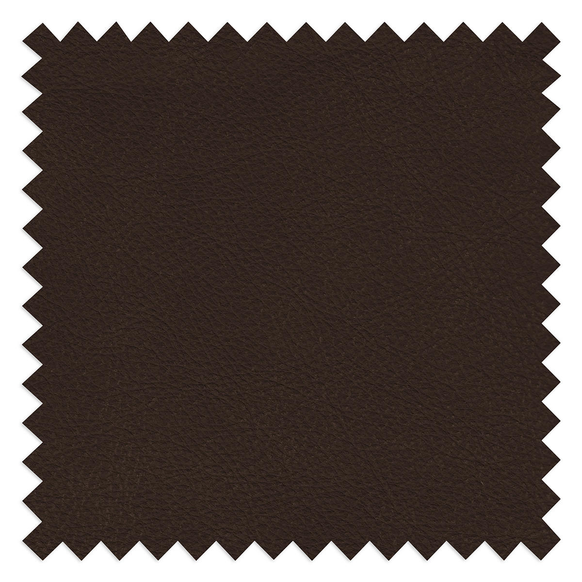 3-SITZER-SOFA  in Echtleder Dunkelbraun   - Dunkelbraun/Beige, Design, Leder/Kunststoff (300/85/123cm) - Livetastic
