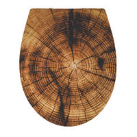 WC-SITZ - Braun, Basics, Kunststoff (45.5/4/37.2cm) - MSV