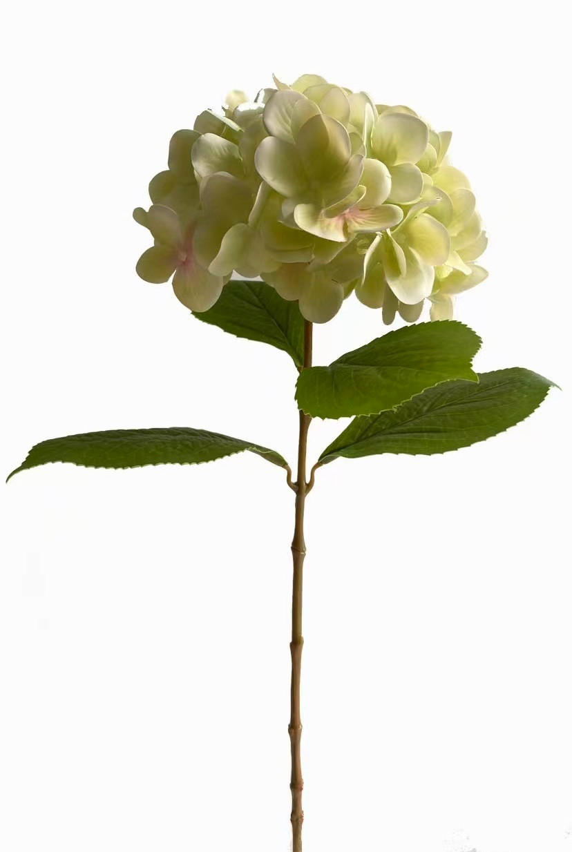 HORTENSIE  - Weiß/Grün, Natur (60cm)