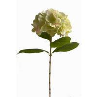 HORTENSIE  - Weiß/Grün, Natur (60cm)