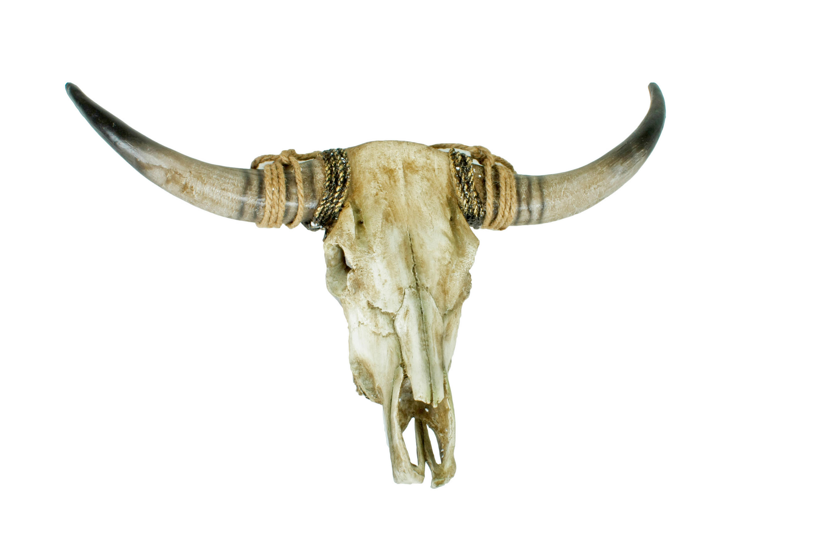 GEWEIH - Braun/Naturfarben, Basics, Kunststoff (79/52,5/16,5cm)