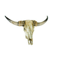 GEWEIH - Braun/Naturfarben, Basics, Kunststoff (79/52,5/16,5cm)