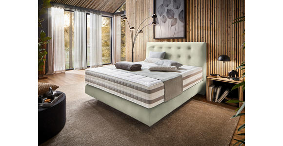 BOXSPRINGBETT 180/200 cm  in Ecru  - Ecru, KONVENTIONELL, Holz/Textil (180/200cm) - Dieter Knoll