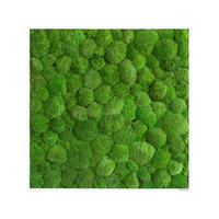 MOOSBILD Stylegreen  - Weiß/Grün, Basics, Naturmaterialien/Holz (80/80/7cm)