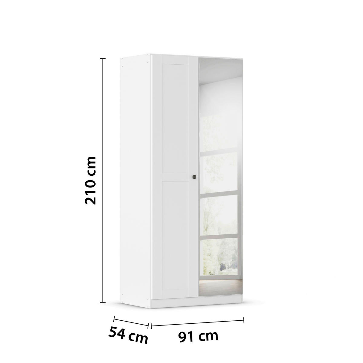 DREHTÜRENSCHRANK 91/210/54 cm,  in Weiß, 2-türig  - Schwarz/Weiß, KONVENTIONELL, Glas/Holzwerkstoff (91/210/54cm) - home24