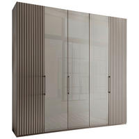 DREHTÜRENSCHRANK 250/216/58 cm,  in Hellgrau, 5 Tür(en)  - Schieferfarben/Hellgrau, Design, Glas/Holzwerkstoff (250/216/58cm) - Novel