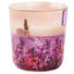 KERZE IM GLAS - Basics, Glas (7,3cm) - Bolsius KERZE IM GLAS - Basics, Glas (7,3cm) - Bolsius