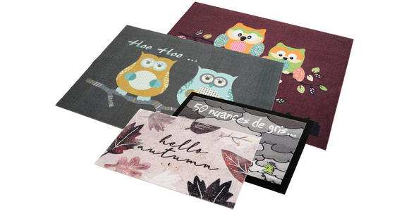 FUßMATTE 60/80 cm Aktion  - Multicolor, Trend, Kunststoff/Textil (60/80cm) - Esposa