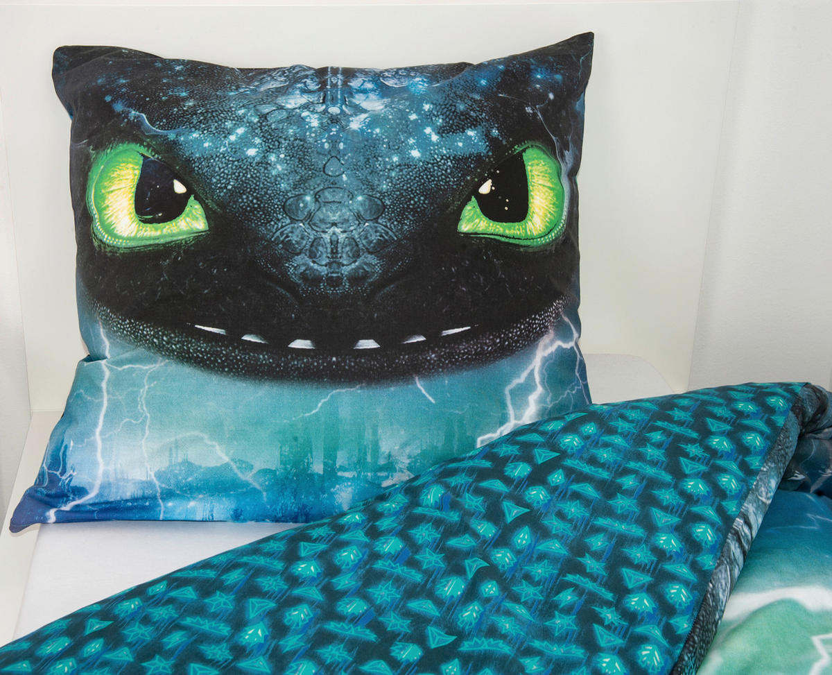 JUGENDBETTWÄSCHE Dragons Renforcé 135/200 cm  - Multicolor, Trend, Textil (135/200cm) - Herding