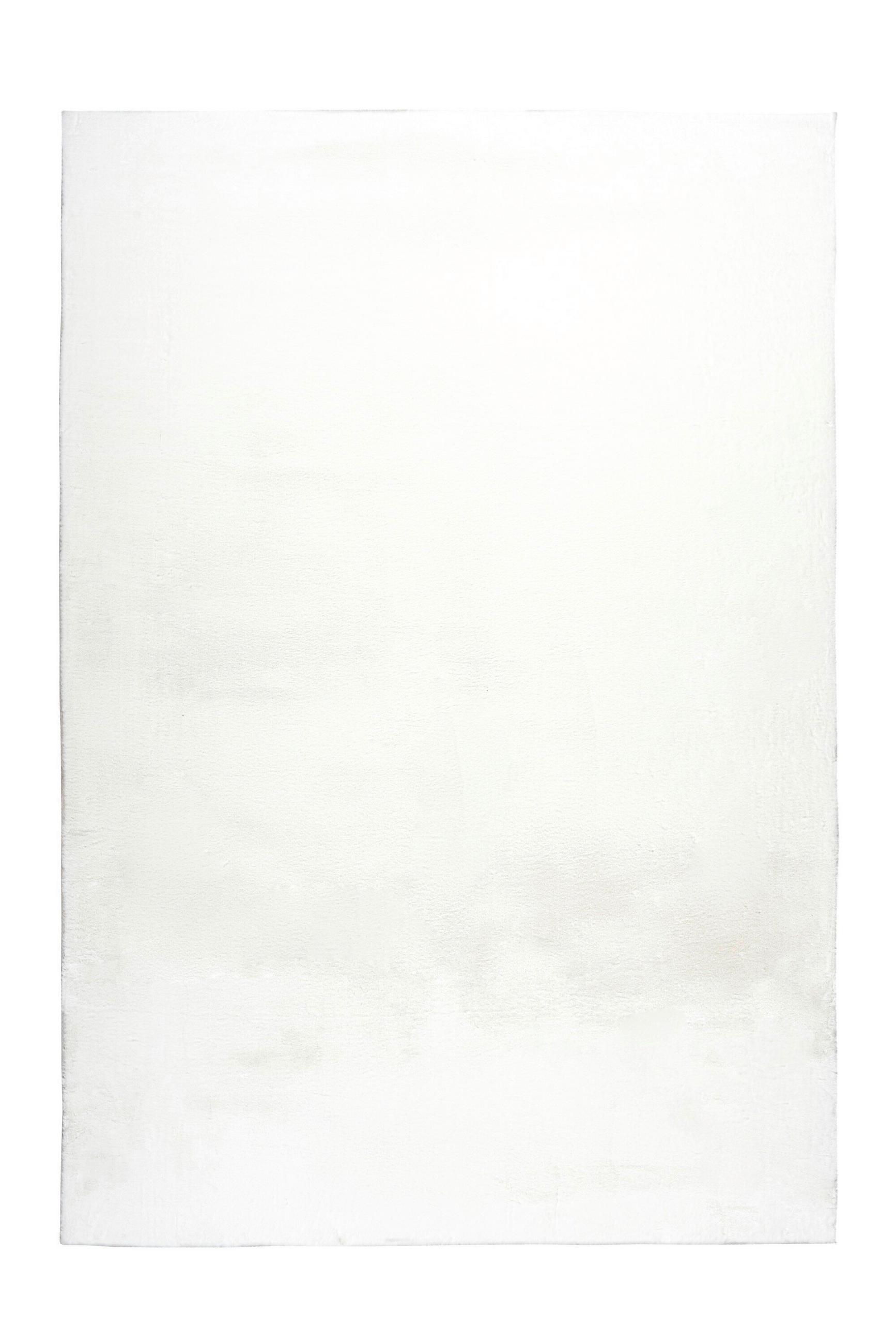 HOCHFLORTEPPICH 120/170 cm Weiß  - Weiß, Basics, Textil (120/170cm) - Kayoom