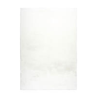 HOCHFLORTEPPICH 120/170 cm Weiß  - Weiß, Basics, Textil (120/170cm) - Kayoom