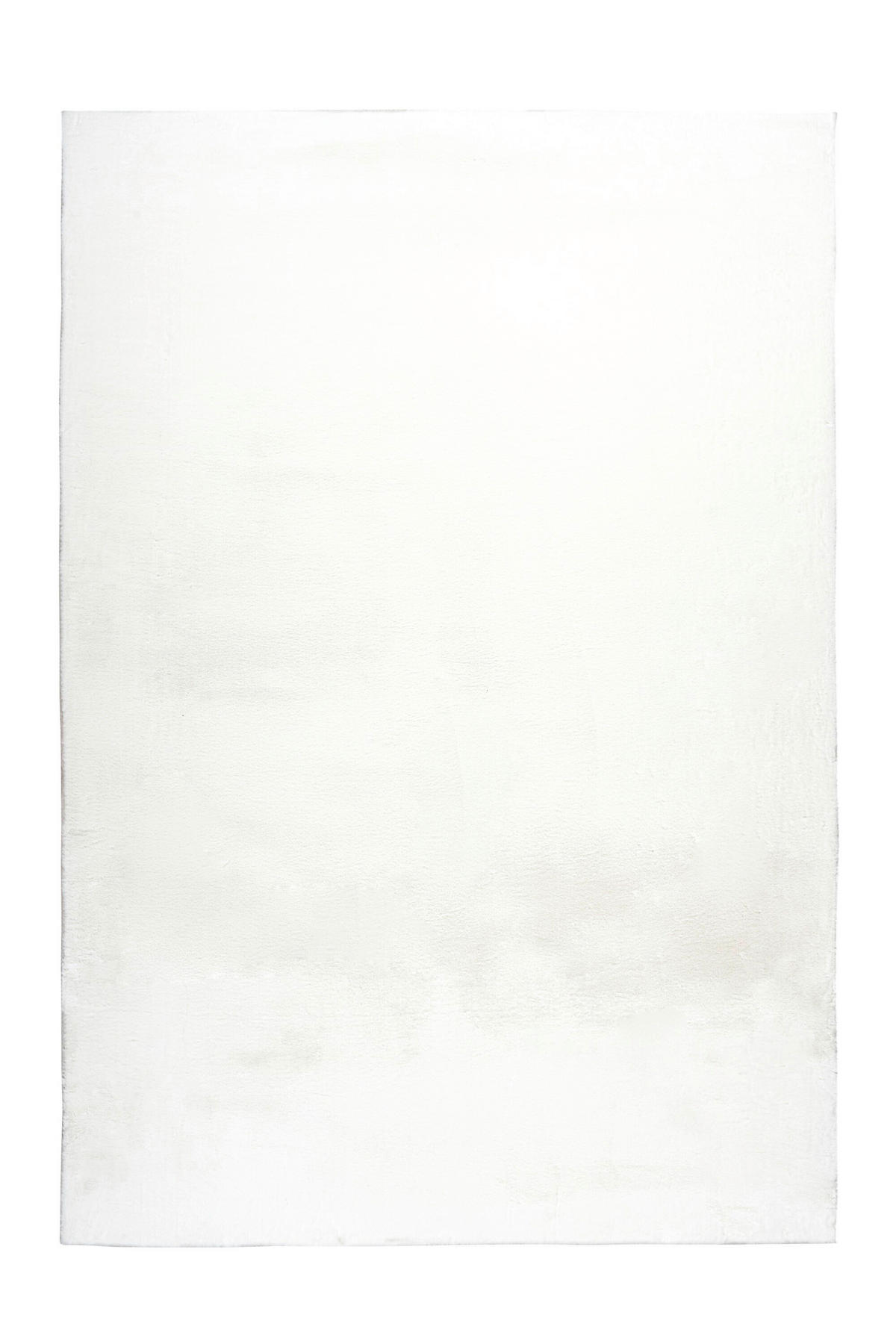 HOCHFLORTEPPICH 120/170 cm Weiß  - Weiß, Basics, Textil (120/170cm) - Kayoom