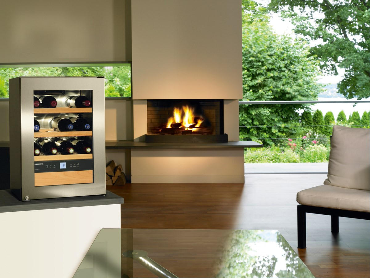 WEINKÜHLSCHRANK WKES653-26  - Edelstahlfarben, Basics, Metall (42.5/61.2/47.8cm) - Liebherr
