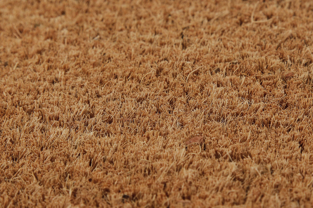 FUßMATTE 40/60 cm Coco Mat  - Hellbraun, KONVENTIONELL, Kunststoff/Textil (40/60cm) - WECON HOME