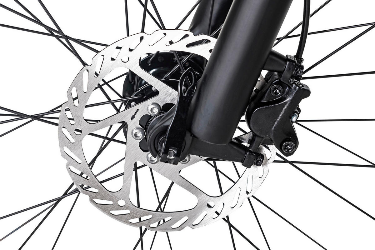 ELEKTROFAHRRAD - Schwarz, Basics, Metall (188/117/22cm)