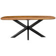 ESSTISCH 200/100/76 cm Echtholz  Holz Schwarz, Sheeshamfarben  - Sheeshamfarben/Schwarz, Trend, Holz (200/100/76cm) - Ambia Home