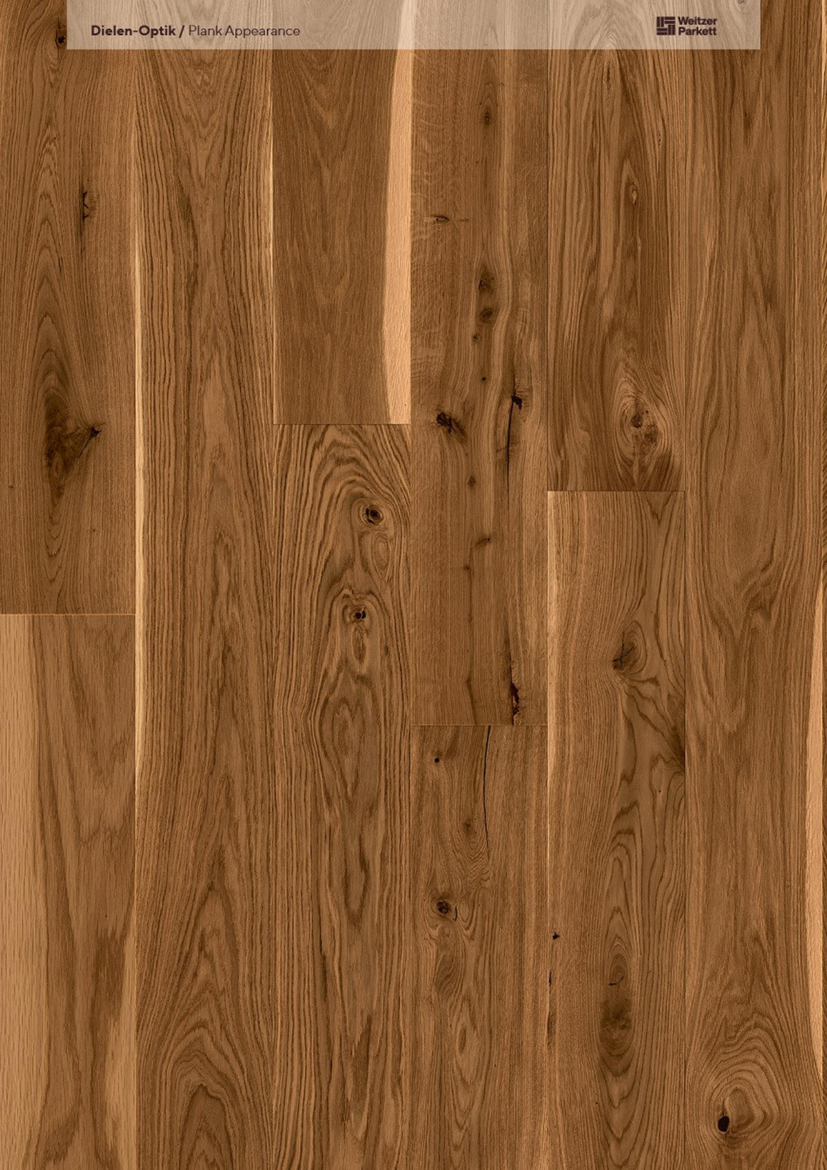 LANDHAUSDIELE, Eiche Amber Pflegefrei Diele  per  m² - Eichefarben, Design, Holz (224,5/19,3/1,3cm) - Weitzer Parkett