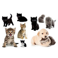 DEKOSTICKER  25/35/0,10 cm    - Multicolor, KONVENTIONELL, Kunststoff (25/35/0,10cm)