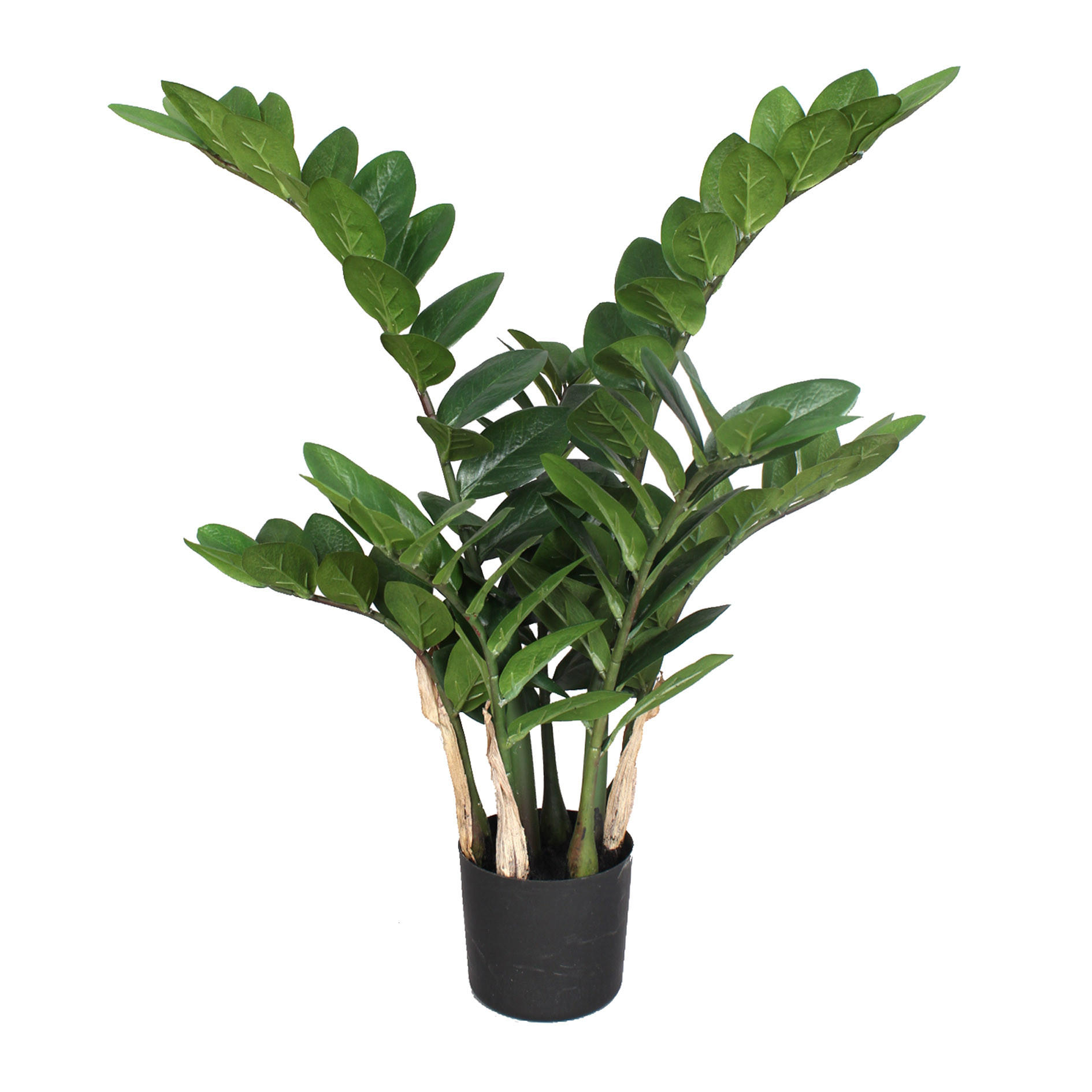 KUNSTPFLANZE 70 cm  - Schwarz/Braun, Design, Kunststoff (70cm) - P & B
