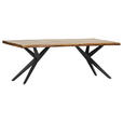 TISCHPLATTE      - Naturfarben, Design, Holz (220/100/5cm) - Landscape
