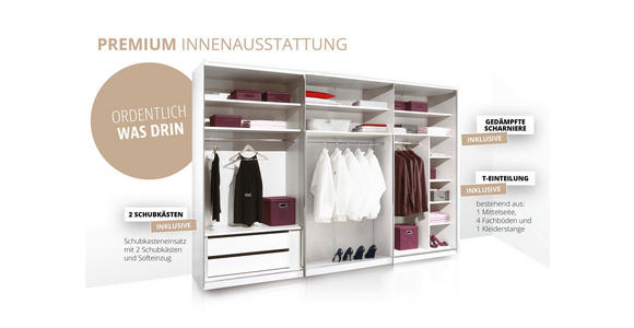 DREHTÜRENSCHRANK inkl. Zubehör 298/222/63 cm,  in Hellgrau, 6-türig  - Hellgrau/Schwarz, Design, Glas/Holzwerkstoff (298/222/63cm) - Dieter Knoll