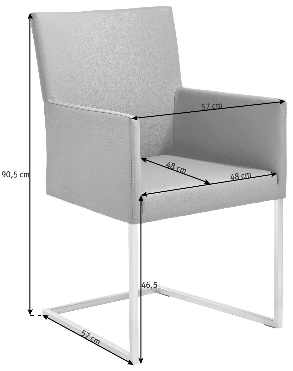 ARMLEHNSTUHL  in Edelstahl Echtleder pigmentiert  - Graphitfarben, Design, Leder/Metall (54/90,5/63cm) - Bert Plantagie