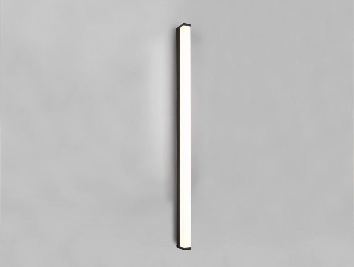 VÄGGLAMPA FÖR BADRUM Fabio   - vit/svart, Basics, metall/plast (120/3,8/7,9cm) - Trio Leuchten
