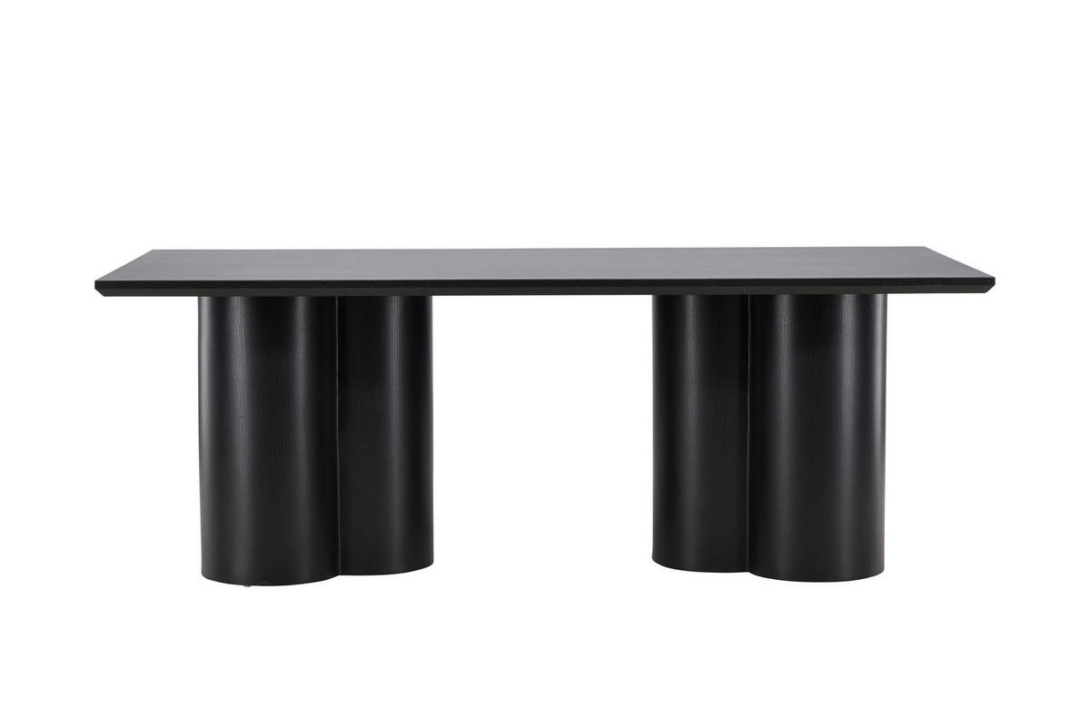 ESSTISCH 210/100/75 cm Echtholz  Holz rechteckig Schwarz  - Schwarz, MODERN, Holz (210/100/75cm) - Livetastic