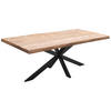 TISCHPLATTE Sheesham massiv Sheeshamfarben  - Sheeshamfarben, Design, Holz (180/90/5,5cm) - Landscape