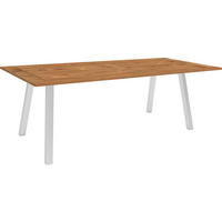 GARTENTISCH 220/100/75 cm  - Silberfarben/Teakfarben, MODERN, Holz/Metall (220/100/75cm) - Stern
