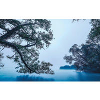 VLIESTAPETE  - Natur (400/250cm) - Komar