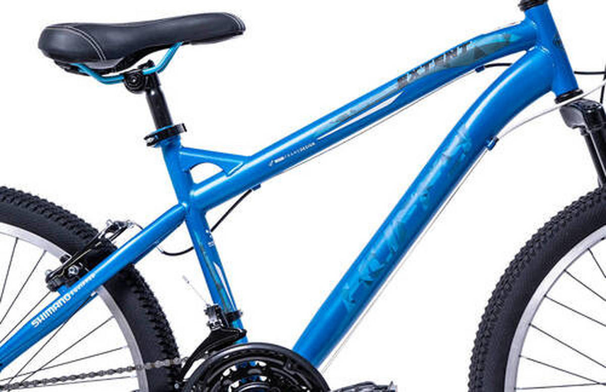 MOUNTAINBIKE 24 Zoll Kinder  - Blau, Basics, Metall (59,7/168,9/99cm)