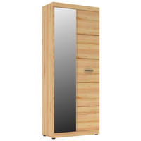 PREDSIEŇOVÁ SKRIŇA, farba buka, 80/200/40 cm - farba buka/čierna, Konventionell, kov/kompozitné drevo (80/200/40cm) - Cantus