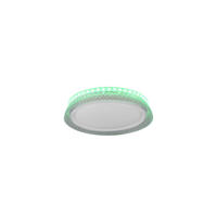 STROPNA LED-SVETILKA   10,5 W//2700-6500 K/230 V/ - bela, Basics, umetna masa (28/5cm)