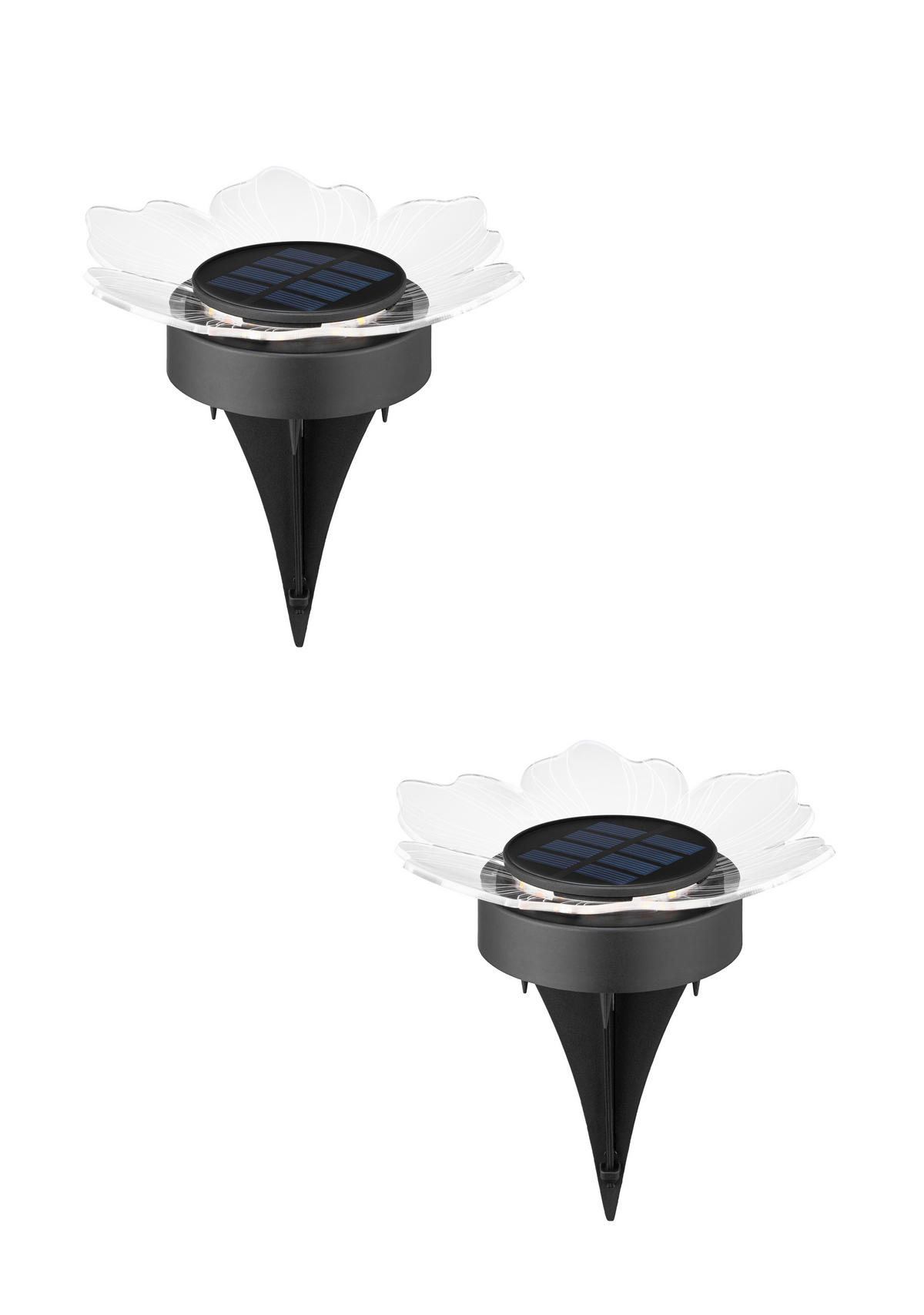 SOLARLEUCHTENSET Lisianthus 14/14 cm  - Transparent/Schwarz, Design, Kunststoff (14/14cm) - Ambia Garden