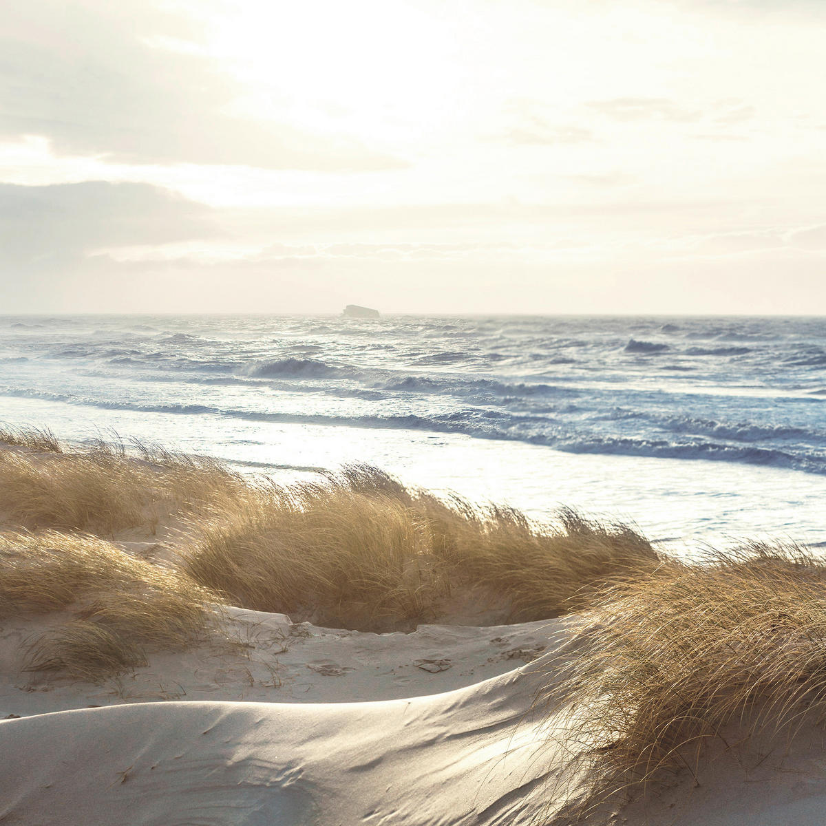 GLASBILD Strand & Meer  - Multicolor, Natur, Glas (30/30/1,40cm) - Euroart