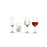 Sektglas-Set 6-teilig - Klar, Basics, Glas (7/23cm) - Leonardo
