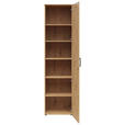 MEHRZWECKSCHRANK 50/195/40 cm  - Anthrazit/Schwarz, MODERN, Holzwerkstoff/Kunststoff (50/195/40cm) - Carryhome