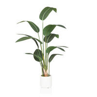 UMĚLÁ ROSTLINA strelície  - bílá/zelená, Moderní, plast (22/150/31cm) - MID.YOU