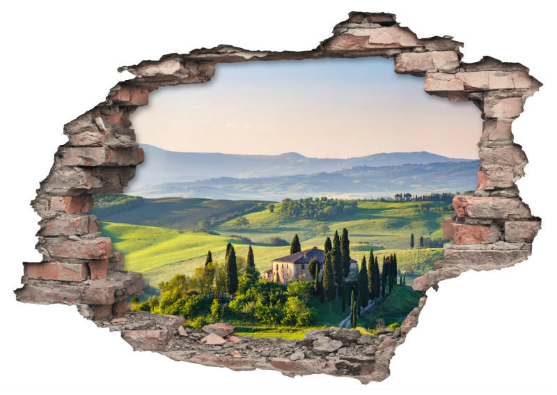 WANDTATTOO     - Multicolor, KONVENTIONELL, Kunststoff (50/70/0,10cm)