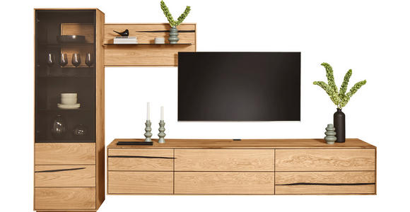 WOHNWAND  in Schwarz, Eichefarben  320/192/50 cm  LED-COB-Leuchtmittel, Dekoleuchtmittel   - Eichefarben/Schwarz, Natur, Glas/Holz (320/192/50cm) - Waldwelt
