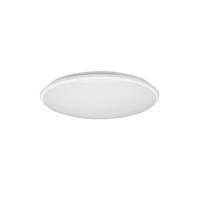 STROPNA LED-SVETILKA  Limbus 34 W  4000 K 230 V  - bela, Basics, umetna masa (50/7,5cm)