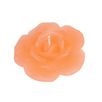 KERZE - Koralle, Trend, Naturmaterialien (8/3,6cm)