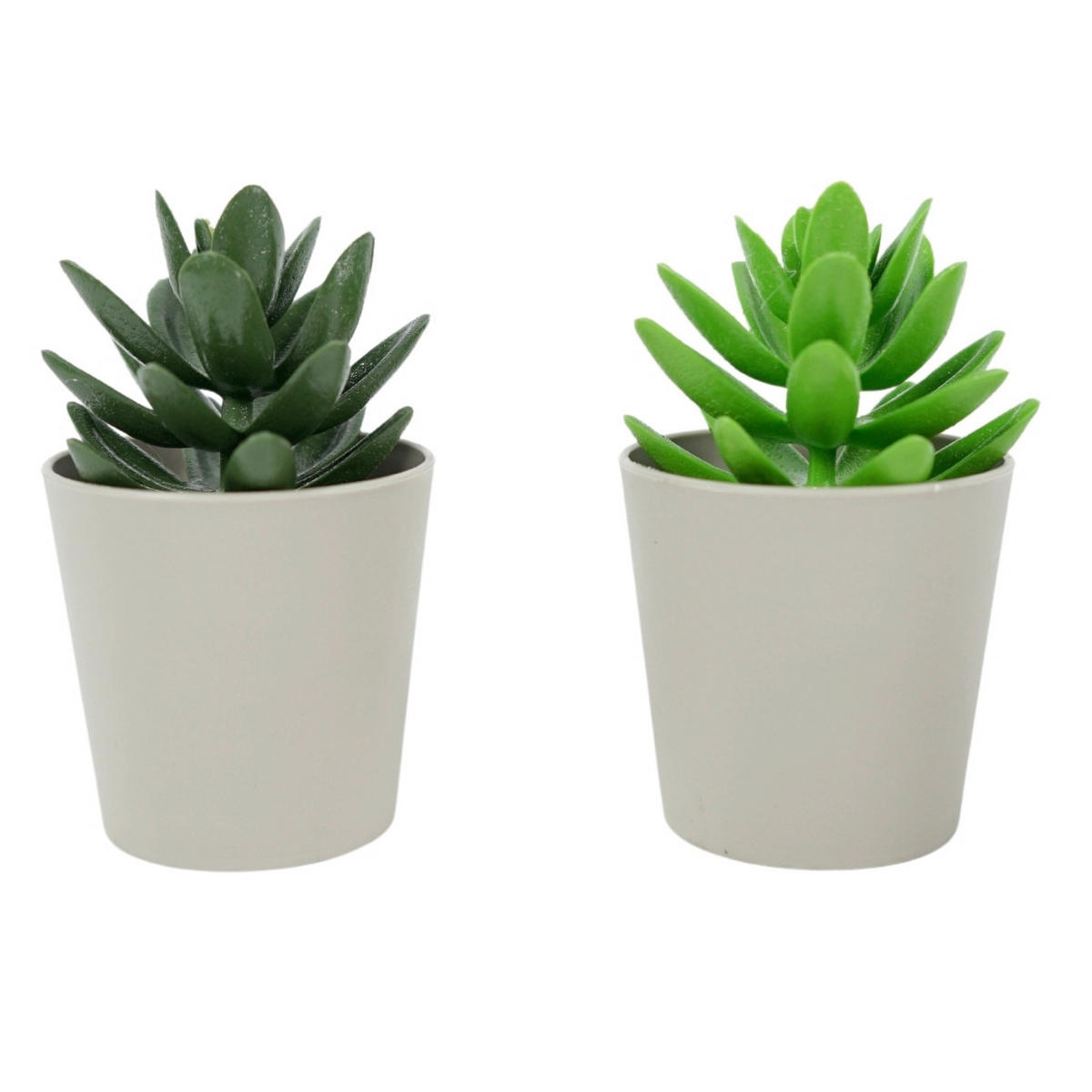 CVIJET UMJETNI  - zelena/bež, Basics, plastika (6,5/6,5/10cm)